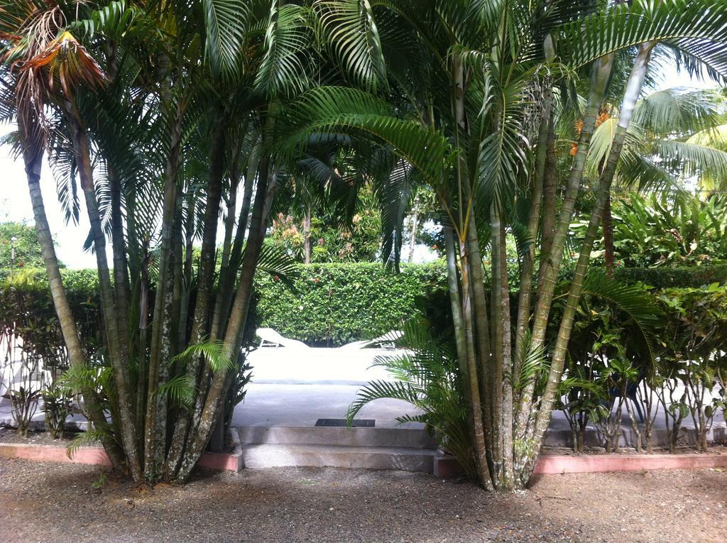Villas Majolana Playa Herradura  Ngoại thất bức ảnh